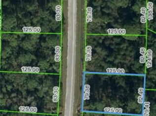 4216 Gerona Ave, Sebring, FL 33872
