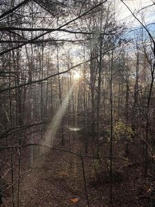 63 Acres BERANEK ROAD, Mosinee, WI, 54455