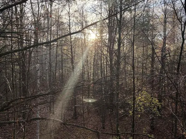 63 Acres BERANEK ROAD, Kronenwetter, WI 54455