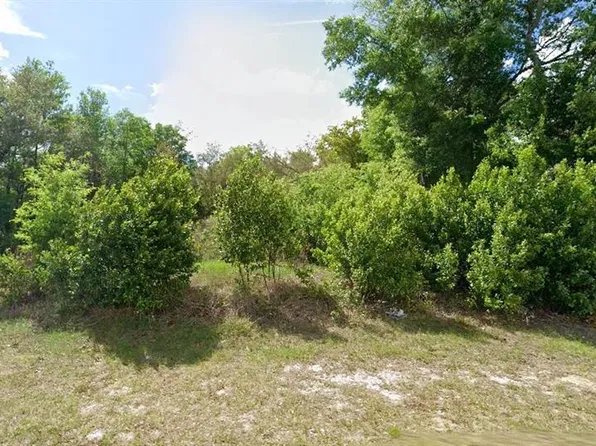 8278 N TRIANA DRIVE LOT 21, CITRUS SPRINGS, FL 34434