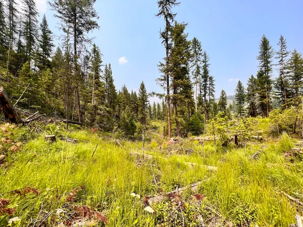 Vista Dr, Republic, WA 99166