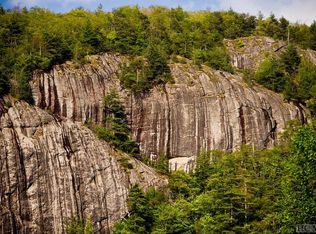 101 Roll Cast Ln, Sapphire, NC 28774