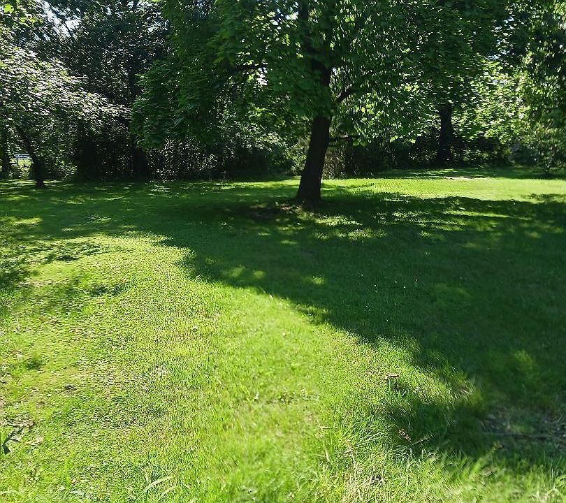 1st image of 15701 Nina St