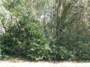 46 Joggling St, Mount Pleasant, SC 29464