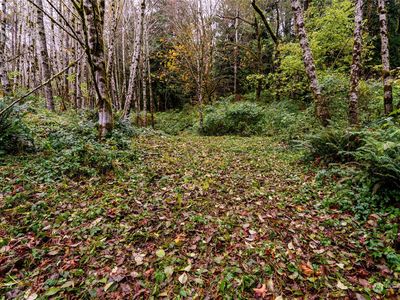 0 XXX Wynooche Valley Road, Montesano, WA, 98563