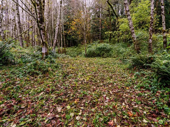 0 XXX Wynooche Valley Road, Montesano, WA 98563