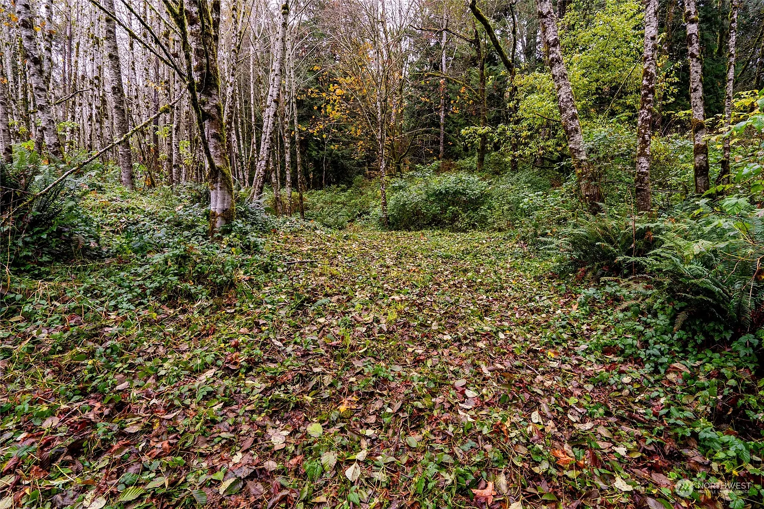 0 XXX Wynooche Valley Road photo 1