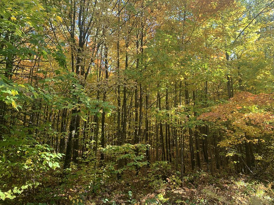 1st image of Off Forest Rd #167