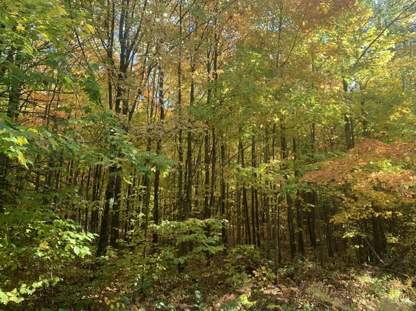 Off Forest Rd #167, Glidden, WI 54527