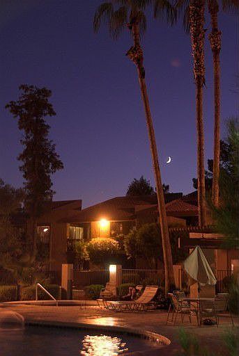 Night life