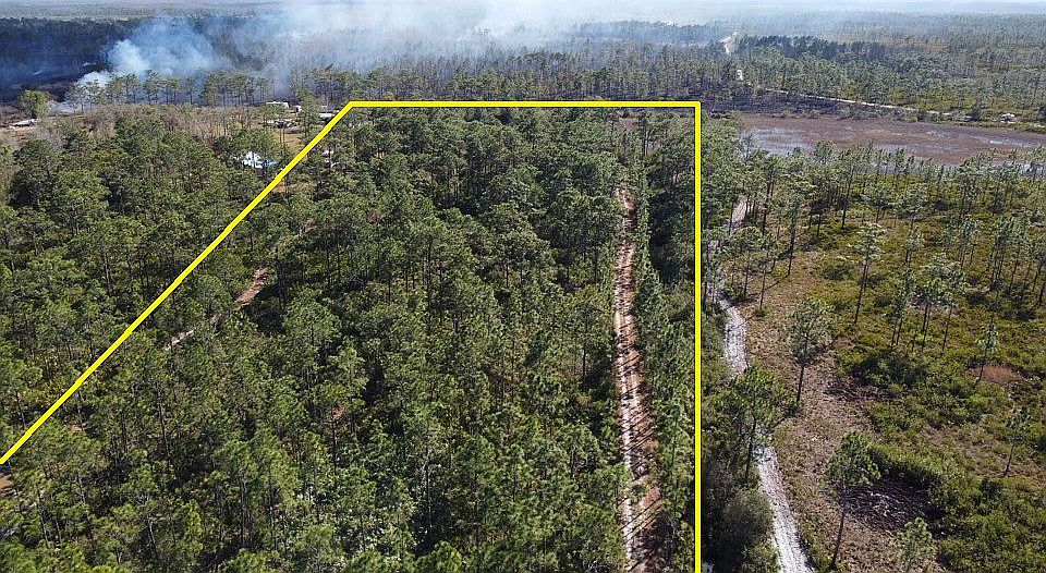 2nd image of Palm Frond Rd