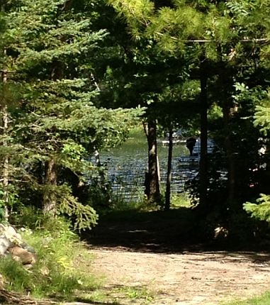 Trail by lake