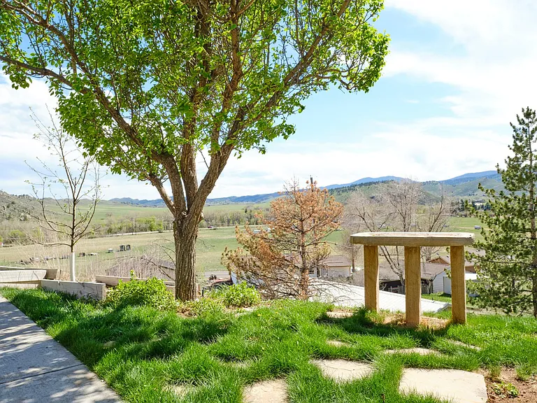 2908 Black Fox Run Ln — Photo 31