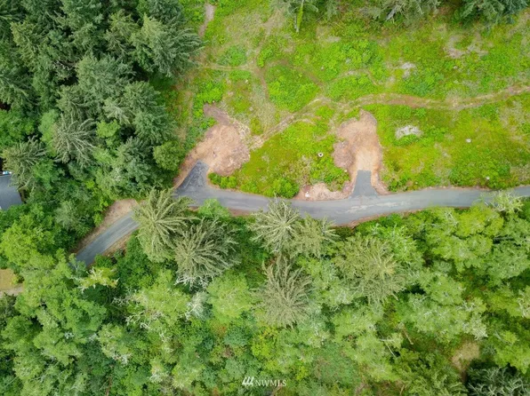 10203 Pearl Lane, Long Beach, WA 98631