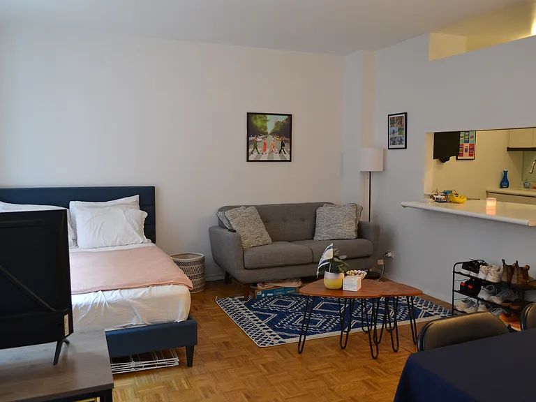 250 W 89th St #8A — Photo 3