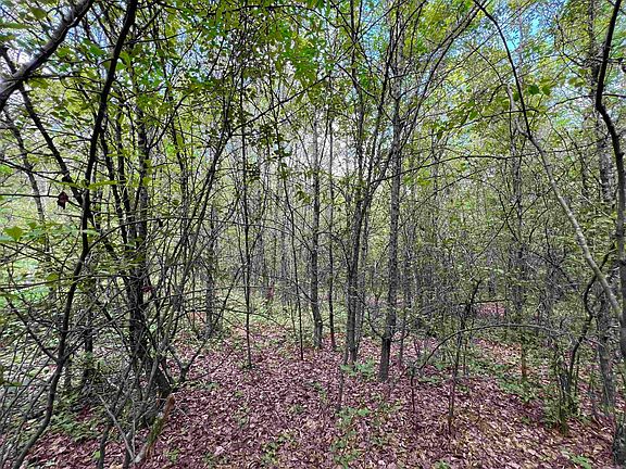 2nd image of 269 Walker Rd