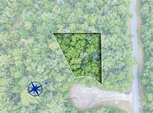 9870 N Sky Point, Citrus Springs, FL 34434