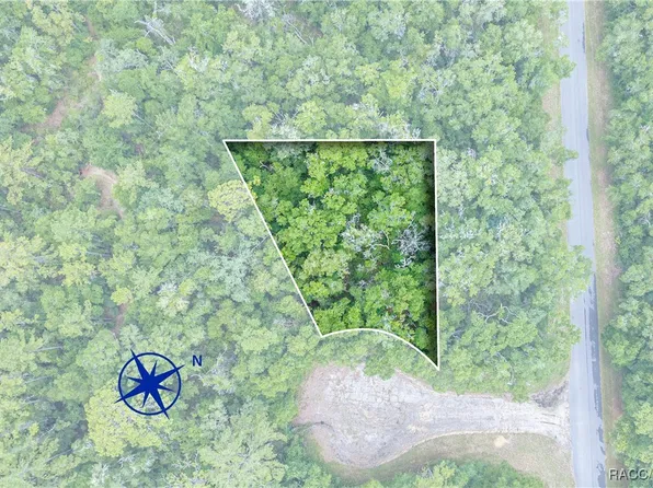 9870 N Sky Point, Citrus Springs, FL 34434