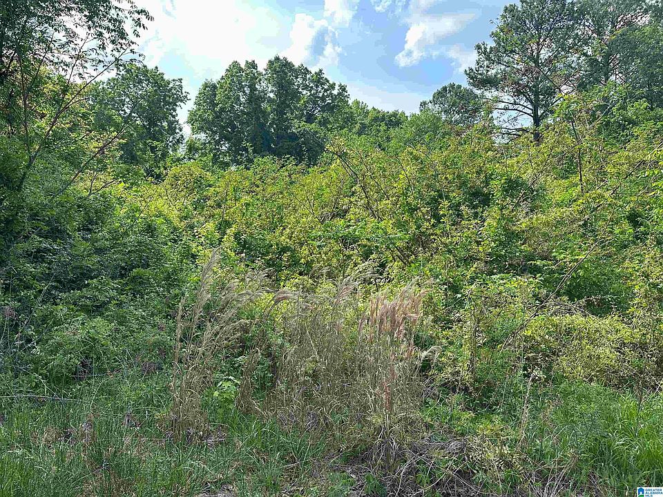 2nd image of 2346 Old Springville Rd #5