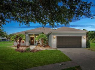 11305 Bridge Pine Dr, Riverview, FL 33569