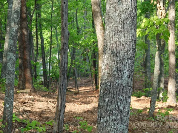 55 Arbra Mountain Rd, Bostic, NC 28018