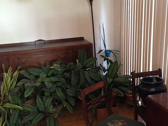 Dining room with sliding glass door to patio, ceiling fan