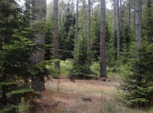 On Cth D, Sugar Camp, WI 54501