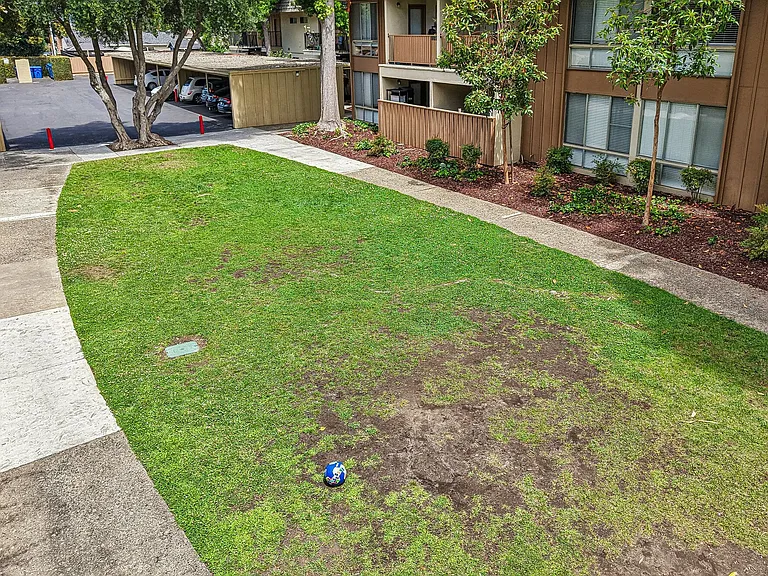 Sundale — Photo 8