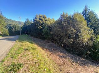 446 Wolverine Way, Whitethorn, CA 95589