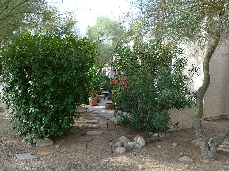 7601 N Calle Sin Envidia #68 — Photo 25