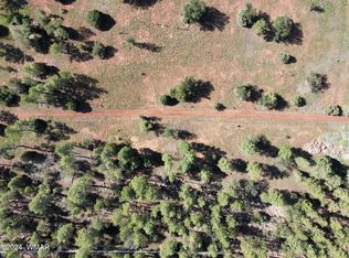2561 Alisa Ln, Lakeside, AZ 85929