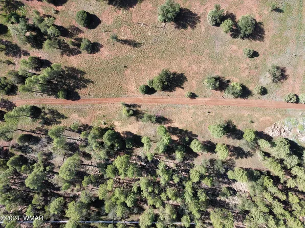 2561 Alisa Ln, Lakeside, AZ 85929