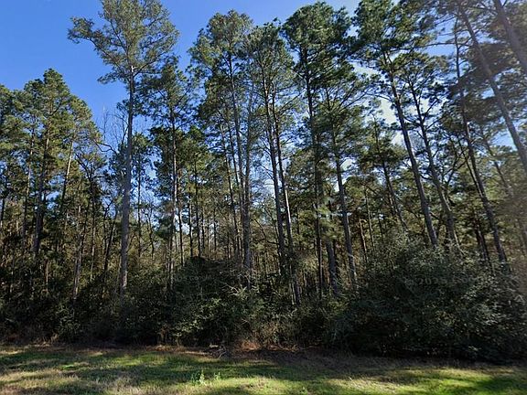 3rd image of 5-25-19 Feldspar Ln Lot 19