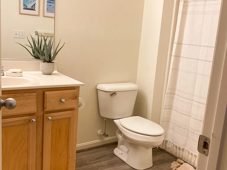 Guest bathroom