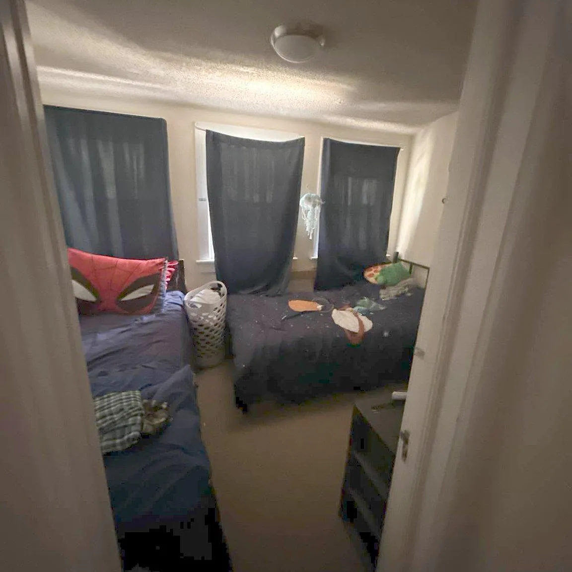 1 bed, 1.0 bath, 800 sqft, $1,500 — Photo 2