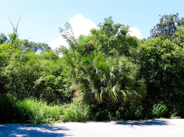 SE 130th Pl Lot 90, Ocklawaha, FL 32179