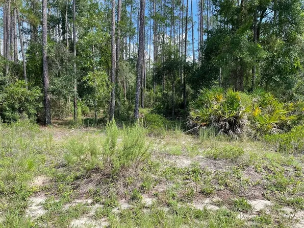 LOT 23 SW TIGER LAKE BOULEVARD W LOT 23, DUNNELLON, FL 34431