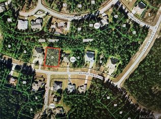 36 Village Center Dr, Homosassa, FL 34446