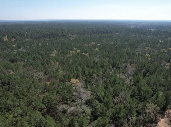 Possum Walk Cemetery Rd, Groveton, TX 75845