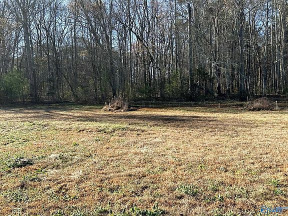 4th image of Eddy Scant City Rd