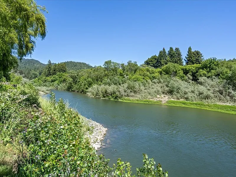 1 bed, 1.0 bath, 600 sqft, $2,500 — Photo 2