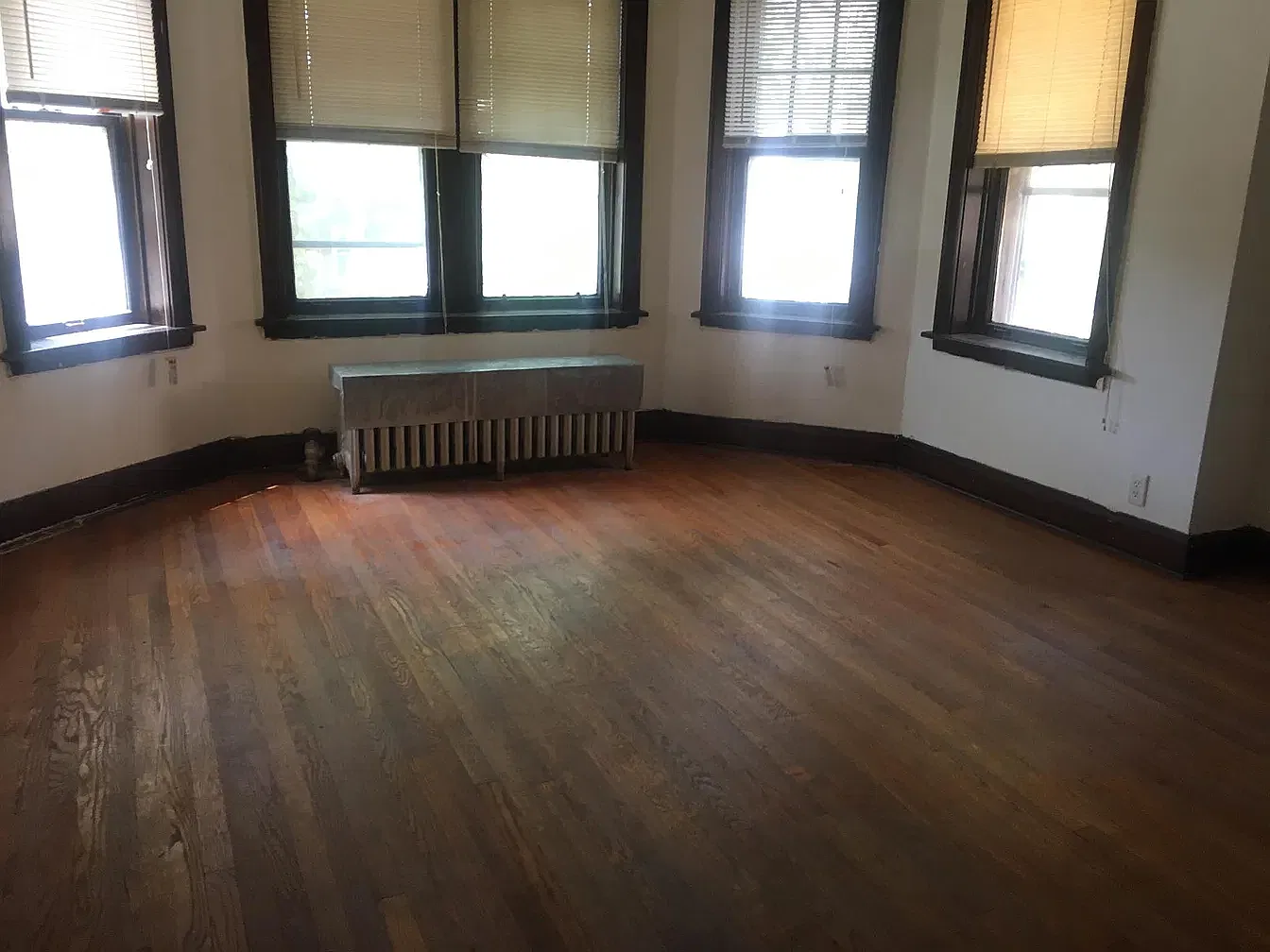 1 bed, $1,200 — Photo 2