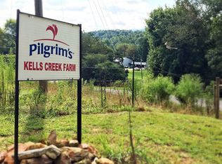 1868 Boardtown Rd, Ellijay, GA 30540