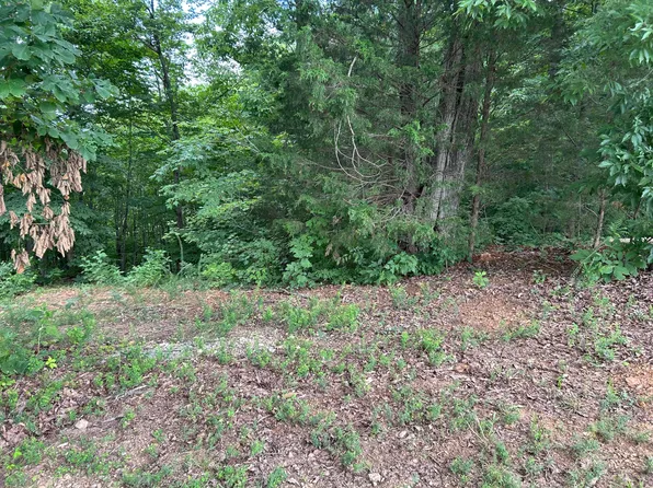 0 Megans Trl, Bean Station, TN 37708