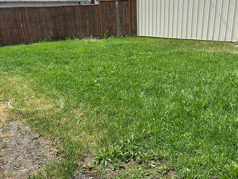 N Addison St — Photo 15