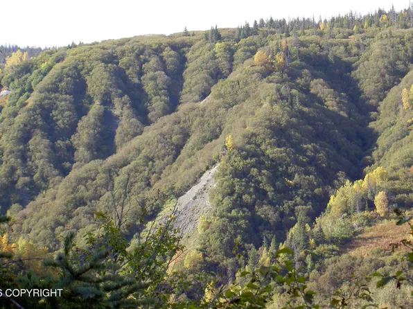 Asls 91 13 Caribou Lk, Ninilchik, AK 99639