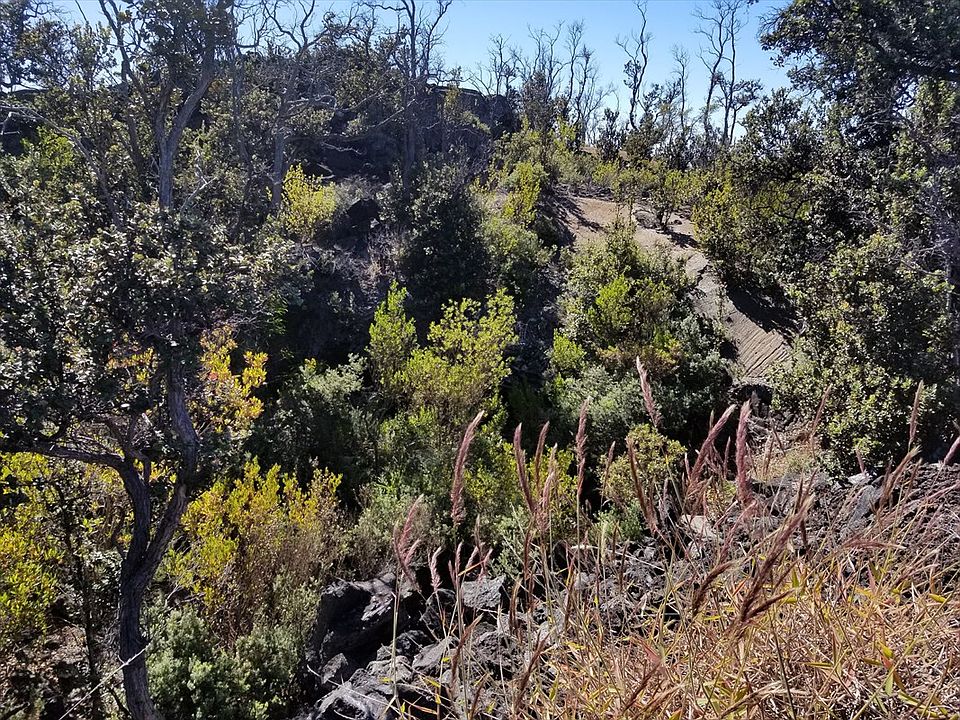 2nd image of Lot 9