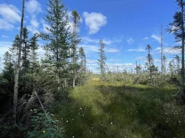 SWAMP ROAD, Tomahawk, WI 54487