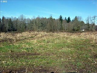 2nd image of 28417 NE 419th St