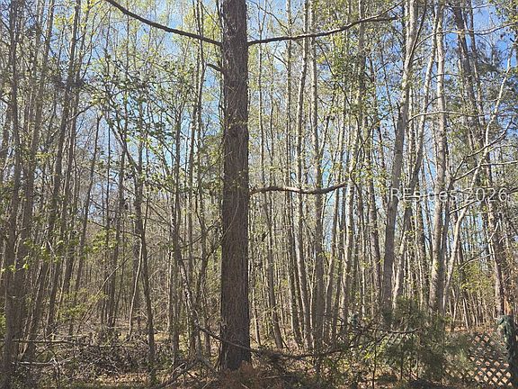 5th image of 5 Freeman St